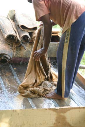 Cleaning the mats of the sluicebox. Mercury is placed on the excavated material in the sluicebox. Tapapajós, Brazil 2004. Photograph by A. Mathis.